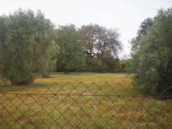 terreno agricolo in vendita a Siderno
