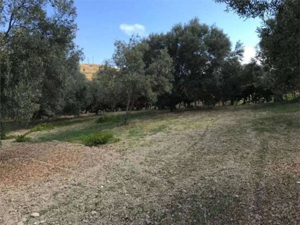 terreno agricolo in vendita a Siderno