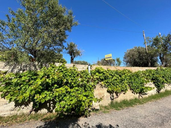 terreno agricolo in vendita a Siderno