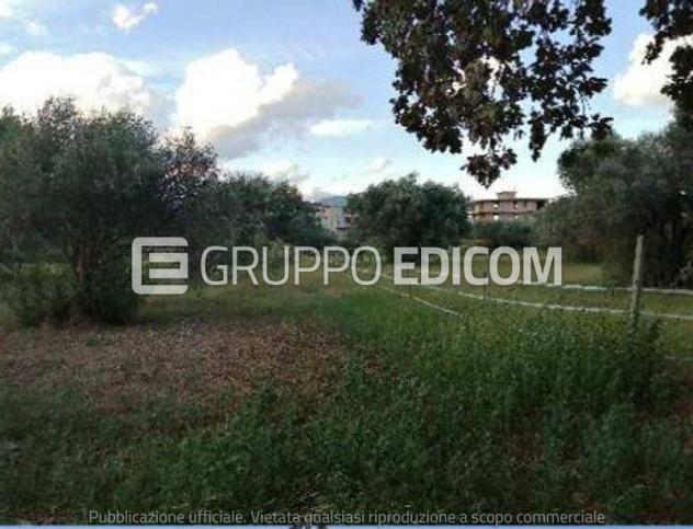 terreno agricolo in vendita a Siderno in zona Grappidaro
