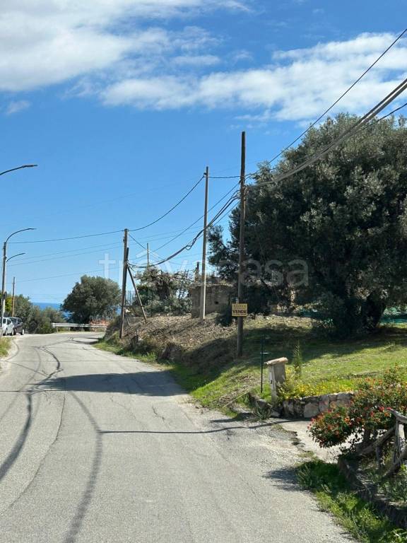 terreno agricolo in vendita a Siderno in zona Flavia