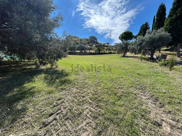 terreno agricolo in vendita a Siderno