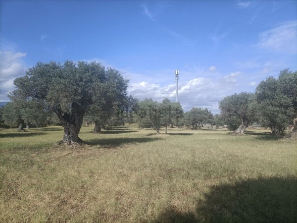 casa indipendente in vendita a Siderno