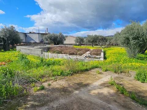 terreno agricolo in vendita a Siderno