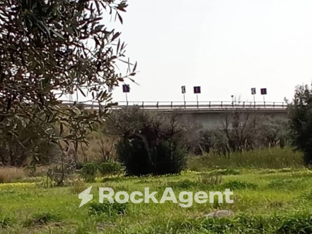 terreno industriale in vendita a Siderno in zona Gonìa