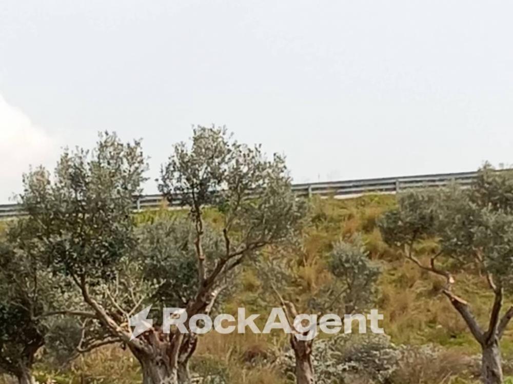 terreno industriale in vendita a Siderno in zona Gonìa