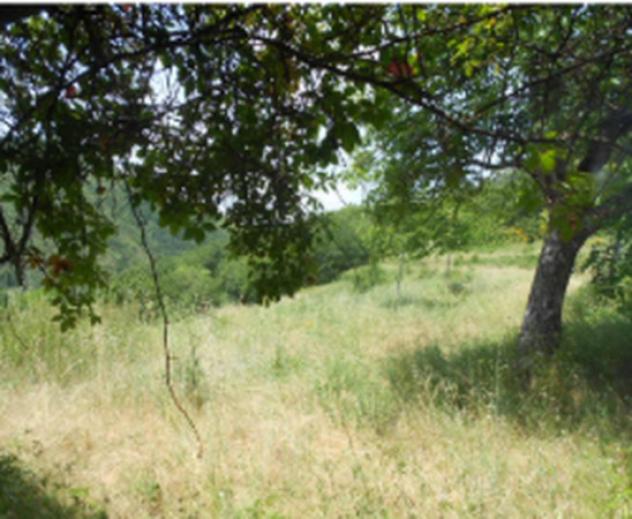 terreno edificabile in vendita a Siderno