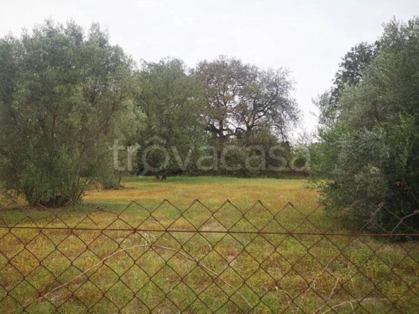 terreno edificabile in vendita a Siderno