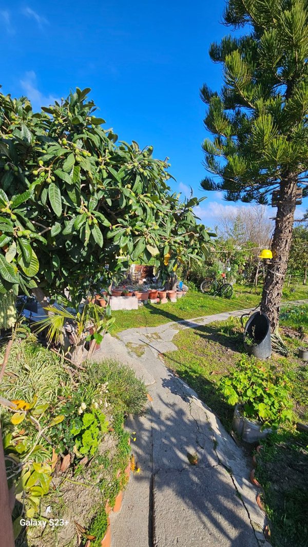 casa indipendente in vendita a Siderno