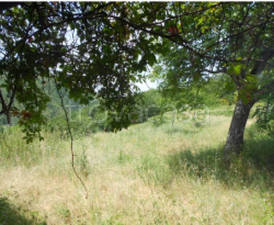 terreno edificabile in vendita a Siderno