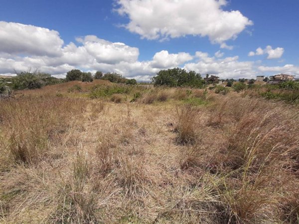 terreno agricolo in vendita a Siderno in zona Zammariti