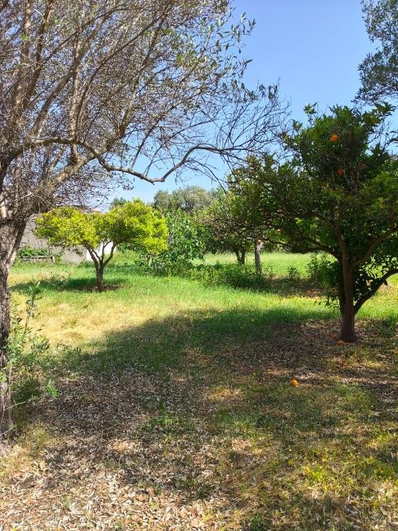 terreno agricolo in vendita a Siderno
