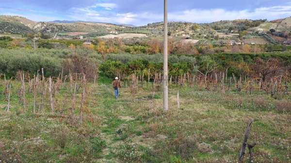 esavano in vendita a Stilo