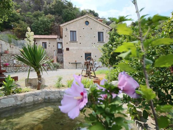 casa indipendente in vendita a Stilo
