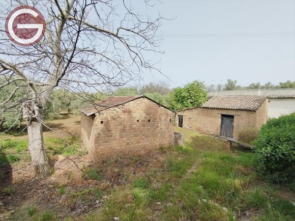 terreno agricolo in vendita a Taurianova