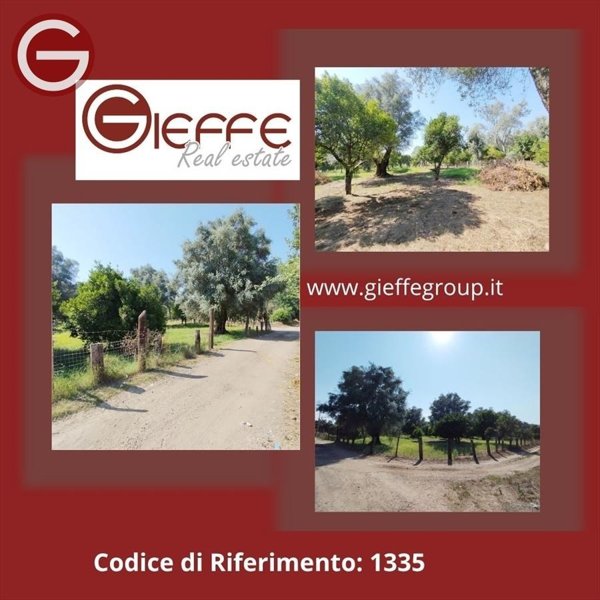 terreno agricolo in vendita a Taurianova