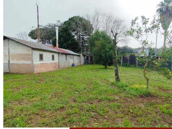 terreno agricolo in vendita a Taurianova