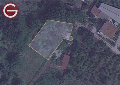 terreno agricolo in vendita a Taurianova