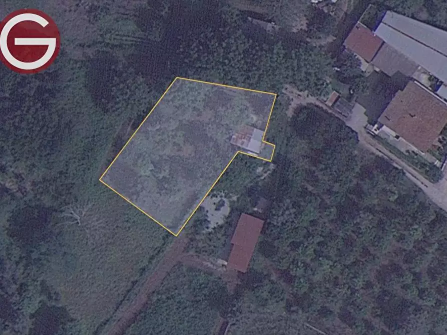 terreno agricolo in vendita a Taurianova