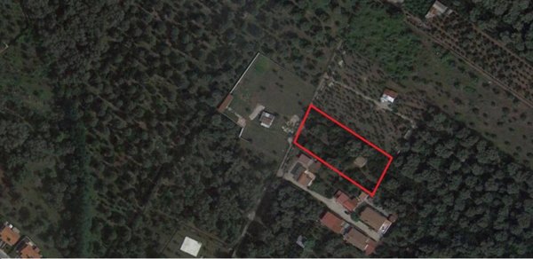 terreno agricolo in vendita a Taurianova