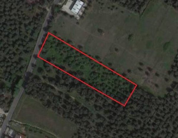 terreno agricolo in vendita a Taurianova