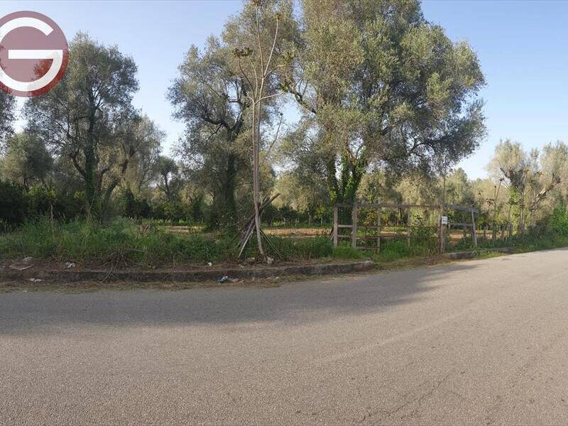 terreno agricolo in vendita a Taurianova
