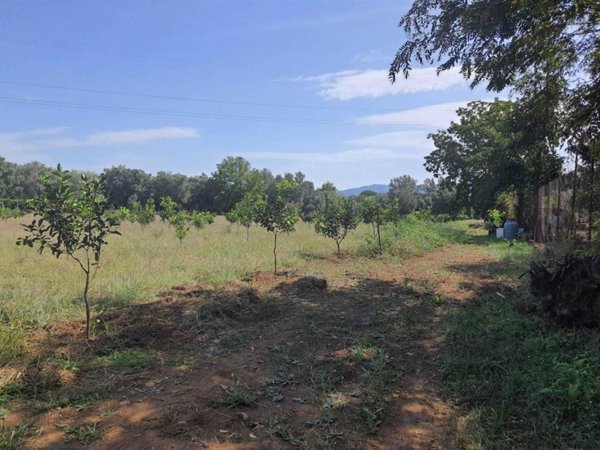 terreno agricolo in vendita a Taurianova