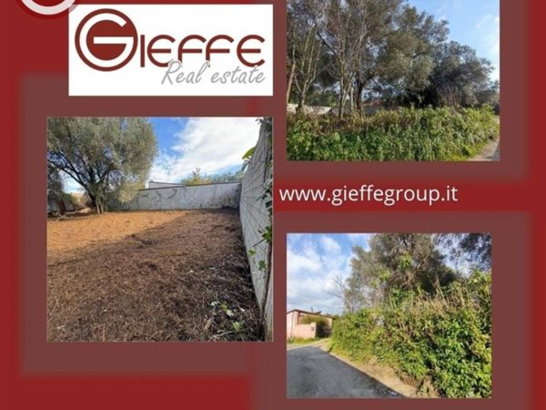 terreno agricolo in vendita a Taurianova