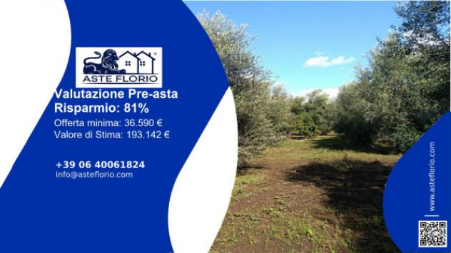 terreno agricolo in vendita a Taurianova