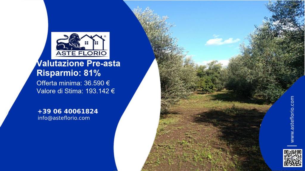 terreno agricolo in vendita a Taurianova