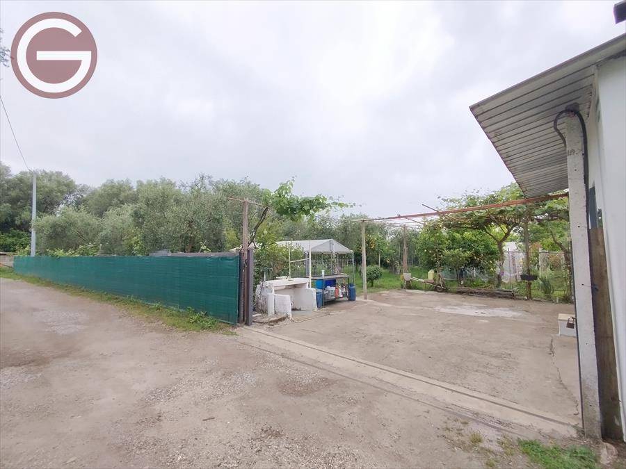 terreno agricolo in vendita a Taurianova