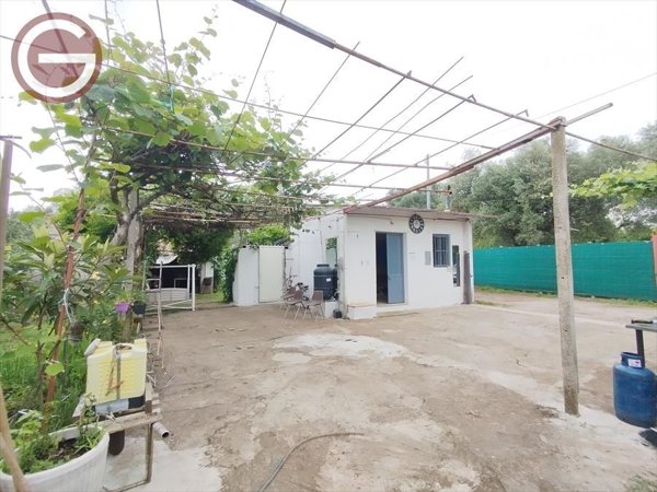 terreno agricolo in vendita a Taurianova