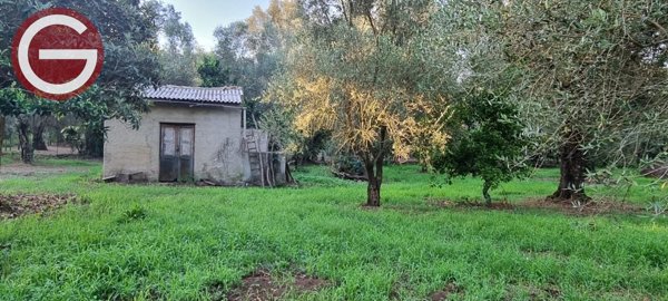 terreno agricolo in vendita a Taurianova