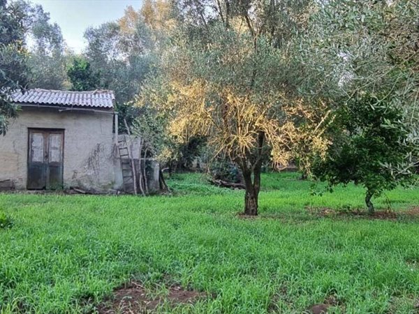 terreno agricolo in vendita a Taurianova