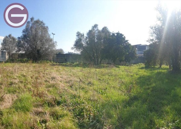 negozio in vendita a Taurianova