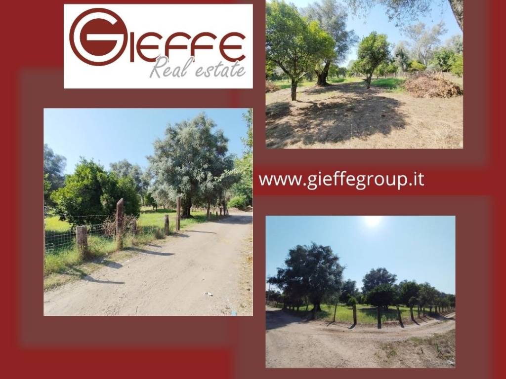 terreno agricolo in vendita a Taurianova