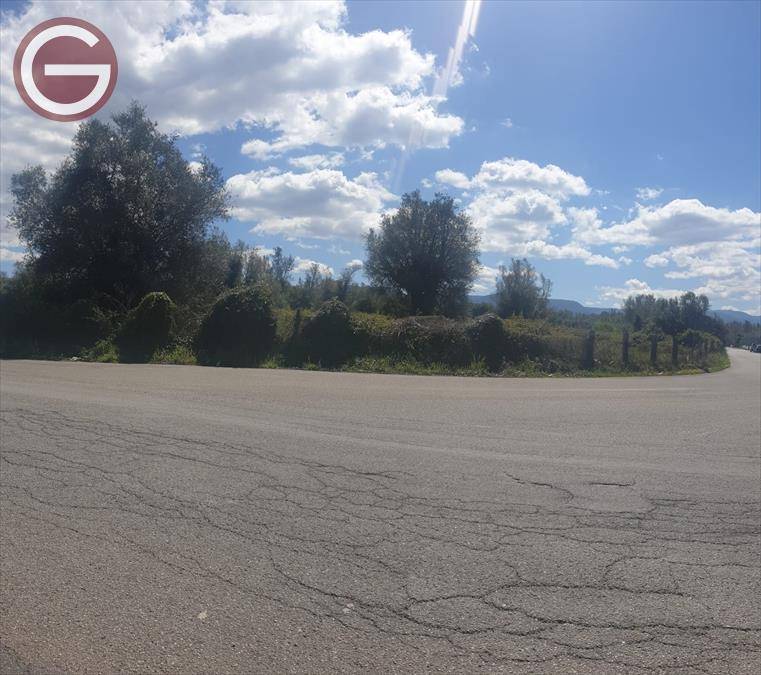 terreno agricolo in vendita a Taurianova