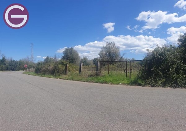 terreno agricolo in vendita a Taurianova