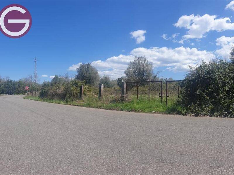 terreno agricolo in vendita a Taurianova