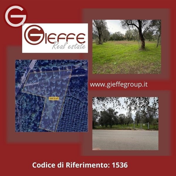 terreno agricolo in vendita a Taurianova