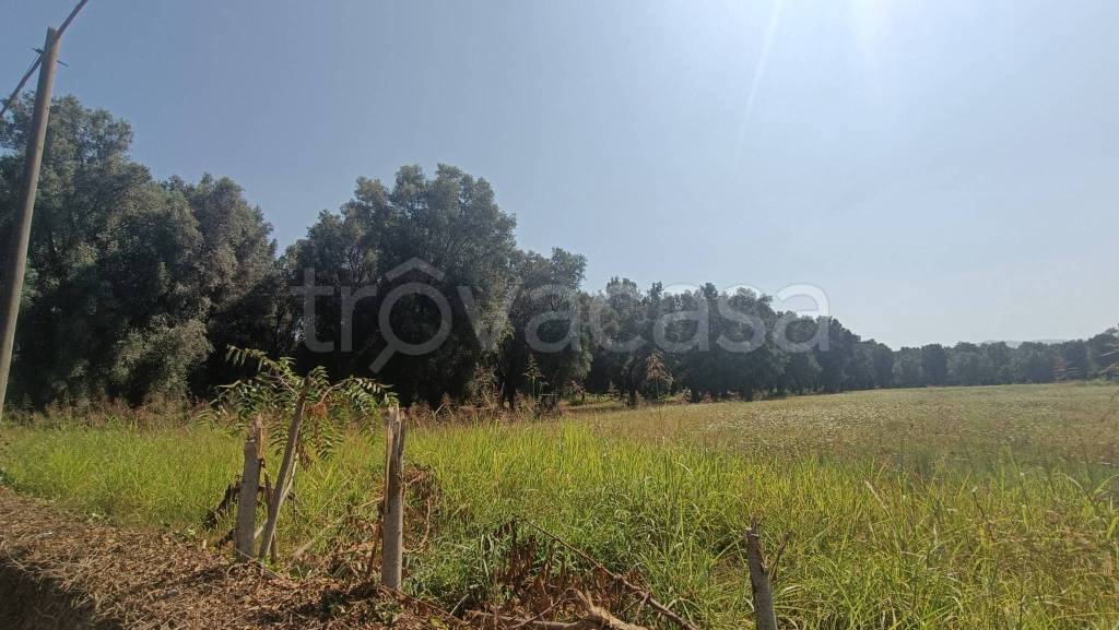 terreno agricolo in vendita a Taurianova