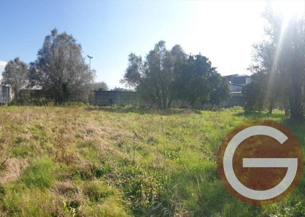 negozio in vendita a Taurianova