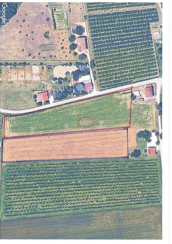 terreno agricolo in vendita a Taurianova in zona San Martino
