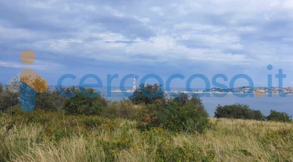 terreno agricolo in vendita a Villa San Giovanni in zona Porticello