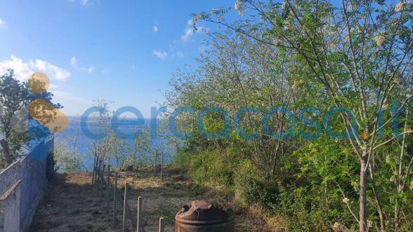 terreno agricolo in vendita a Villa San Giovanni in zona Ferrito