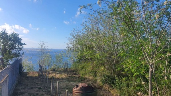 terreno agricolo in vendita a Villa San Giovanni in zona Ferrito