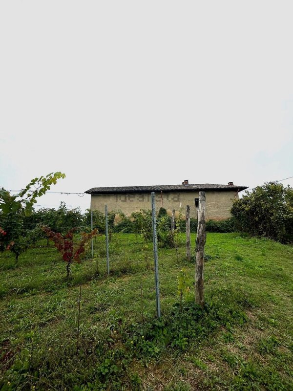 pentavano in vendita a Belveglio in zona Bricco