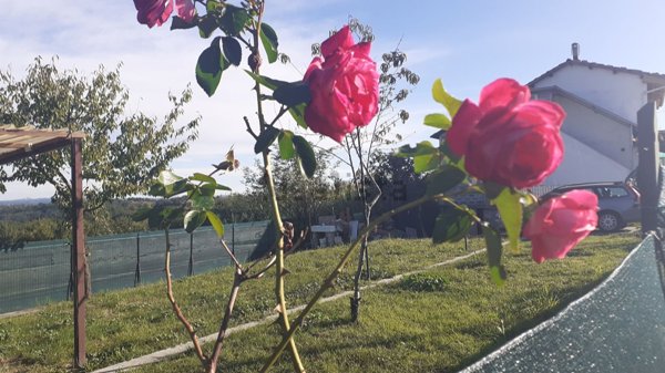 casa indipendente in vendita a Belveglio