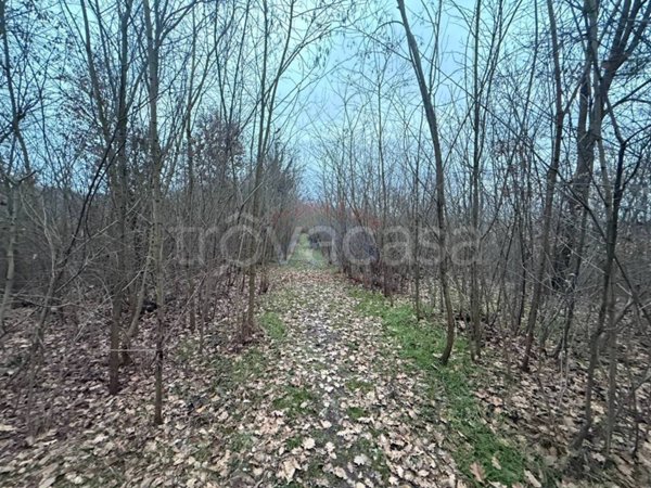 ufficio in vendita a Bruno