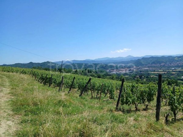 terreno agricolo in vendita a Bruno